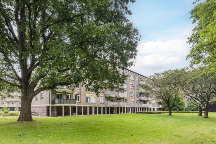 Foto 26 van Jan Erasstraat 10