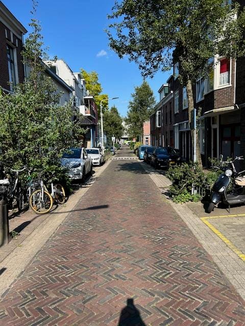 Foto 4 van Van Spaenstraat
