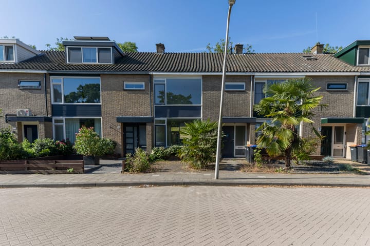 Reigerstraat 38