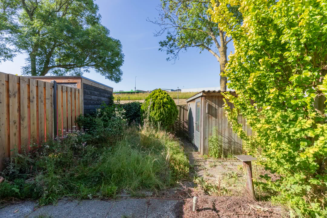 Foto 23 van Reigerstraat 38