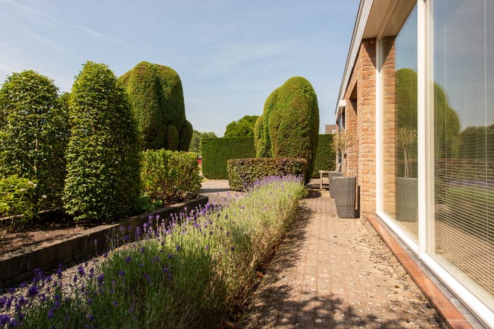 Foto 42 van Torontolaan 12