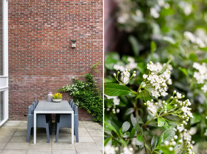 Foto 22 van Strandwal 91