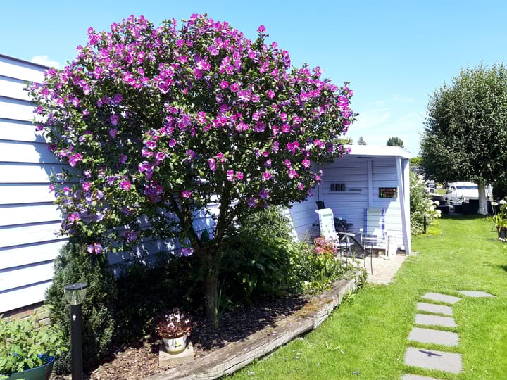 Photo 43 of Nieuwlandsedijk 34