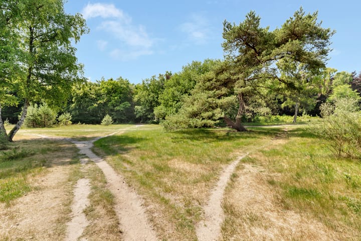 Photo 24 of C. Evertsenstraat 123