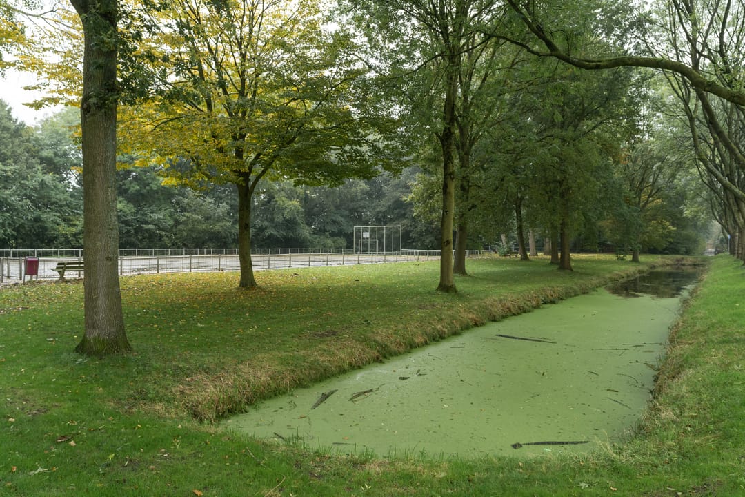 Foto 32 van Ir. F.W. Conradstraat 72