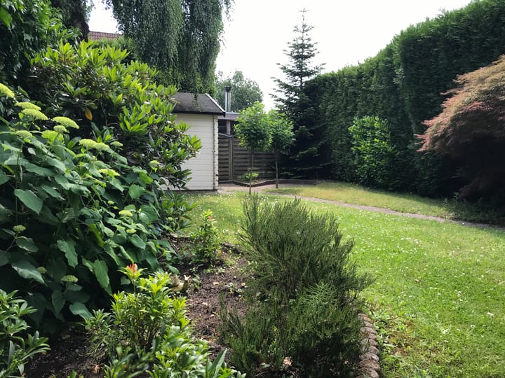 Foto 38 van Kleine Wiel 29