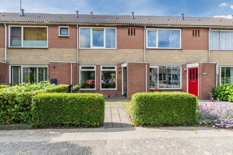 undefined main image