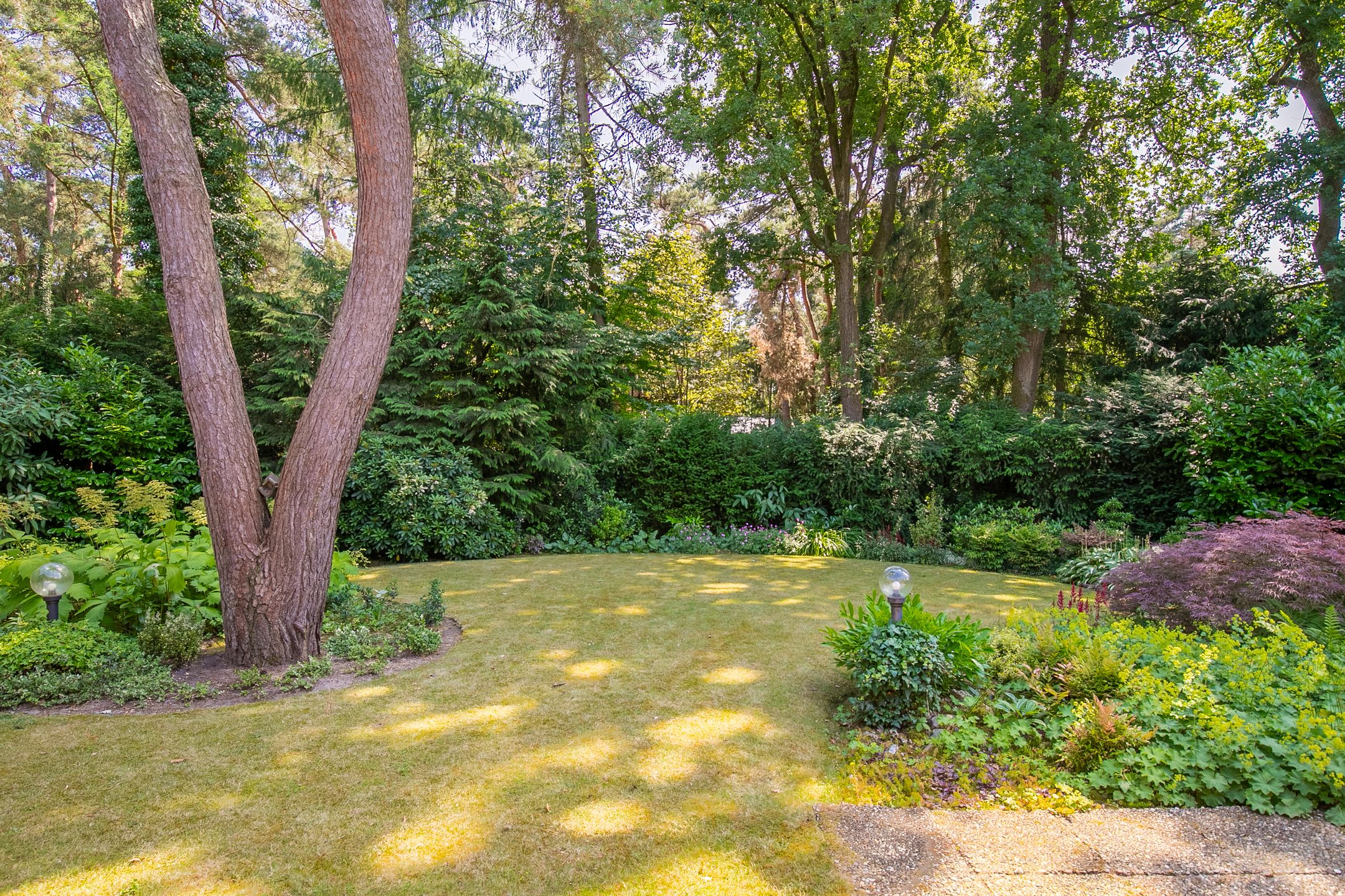 Foto 27 van Exdel 19