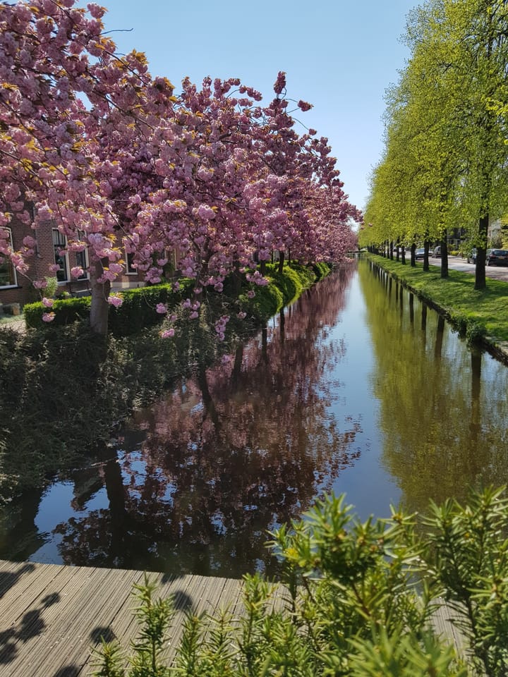 Photo 42 of Emmakade 25