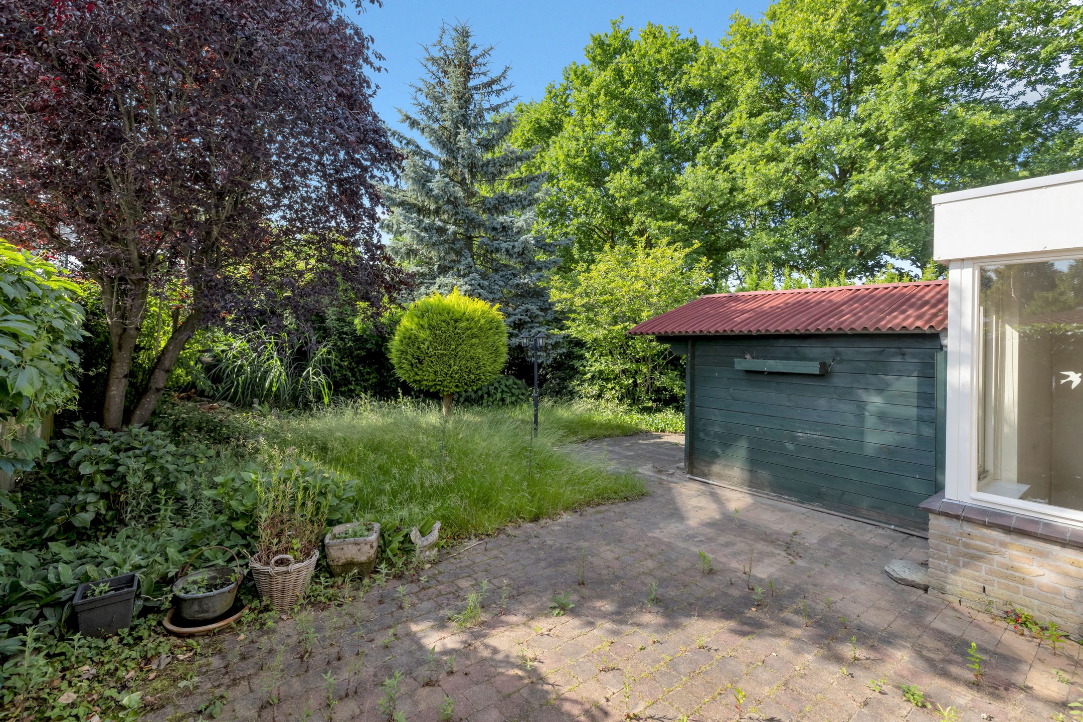 Foto 33 van Bramenhof 8