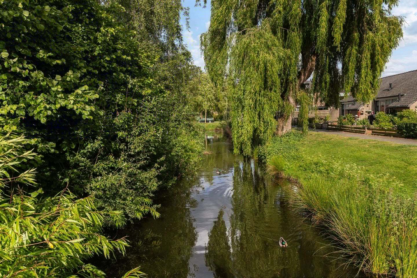 Photo 35 of Willem de Zwijgerlaan 21