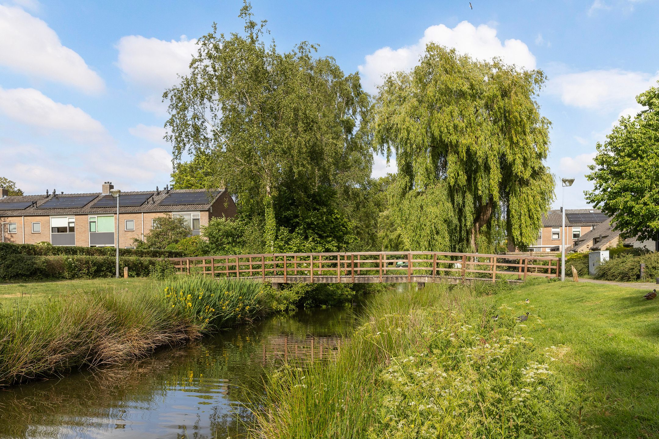 Photo 36 of Willem de Zwijgerlaan 21