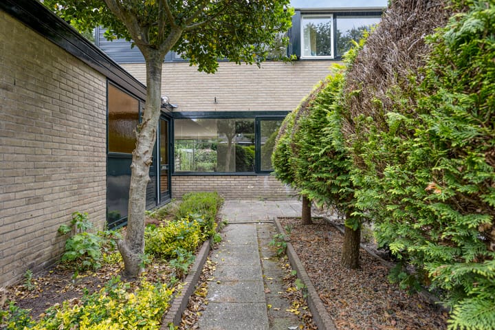 Foto 4 van Koolzaadland 13