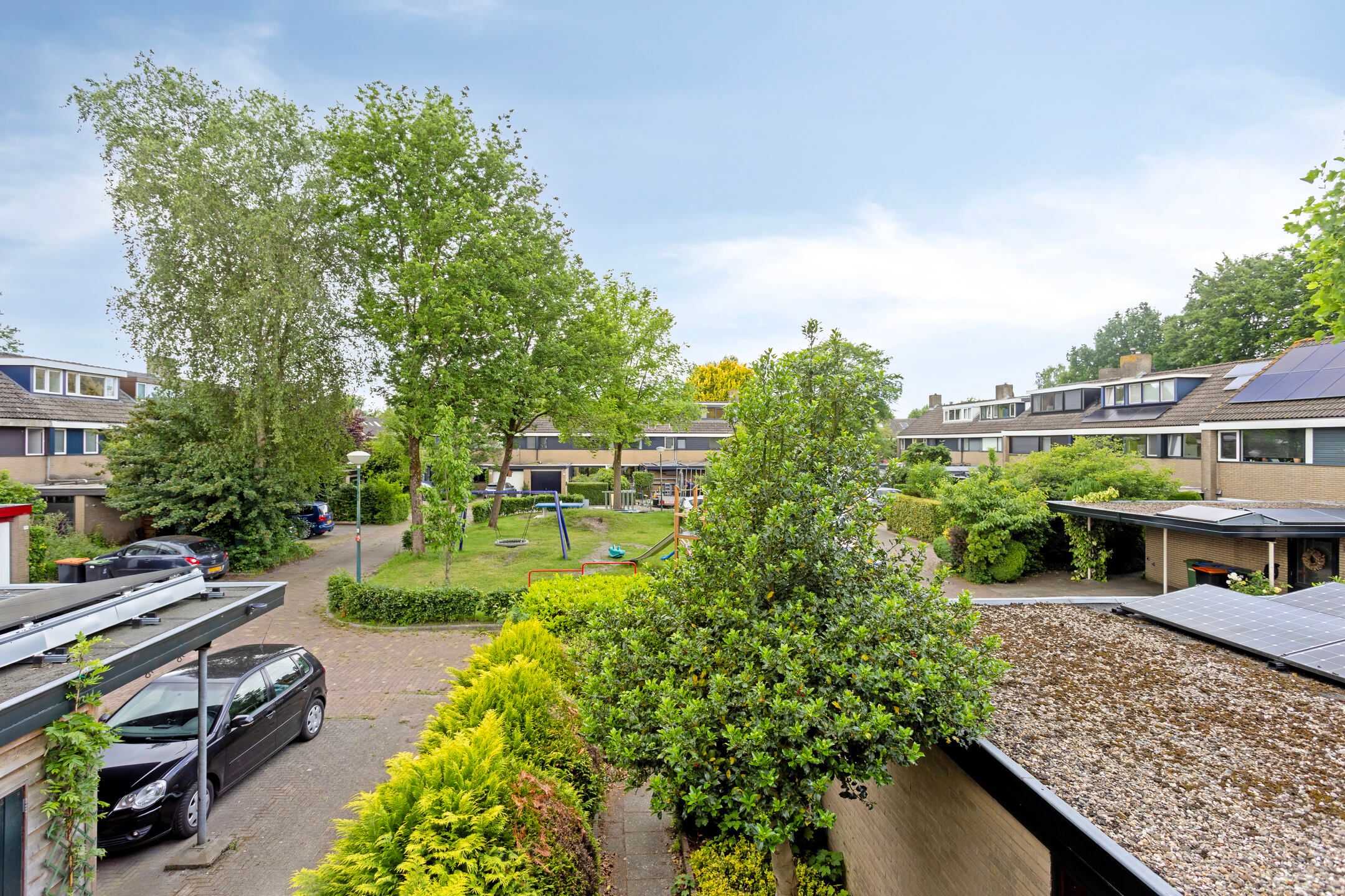 Foto 18 van Koolzaadland 13