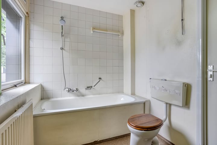 Foto 19 van Koolzaadland 13