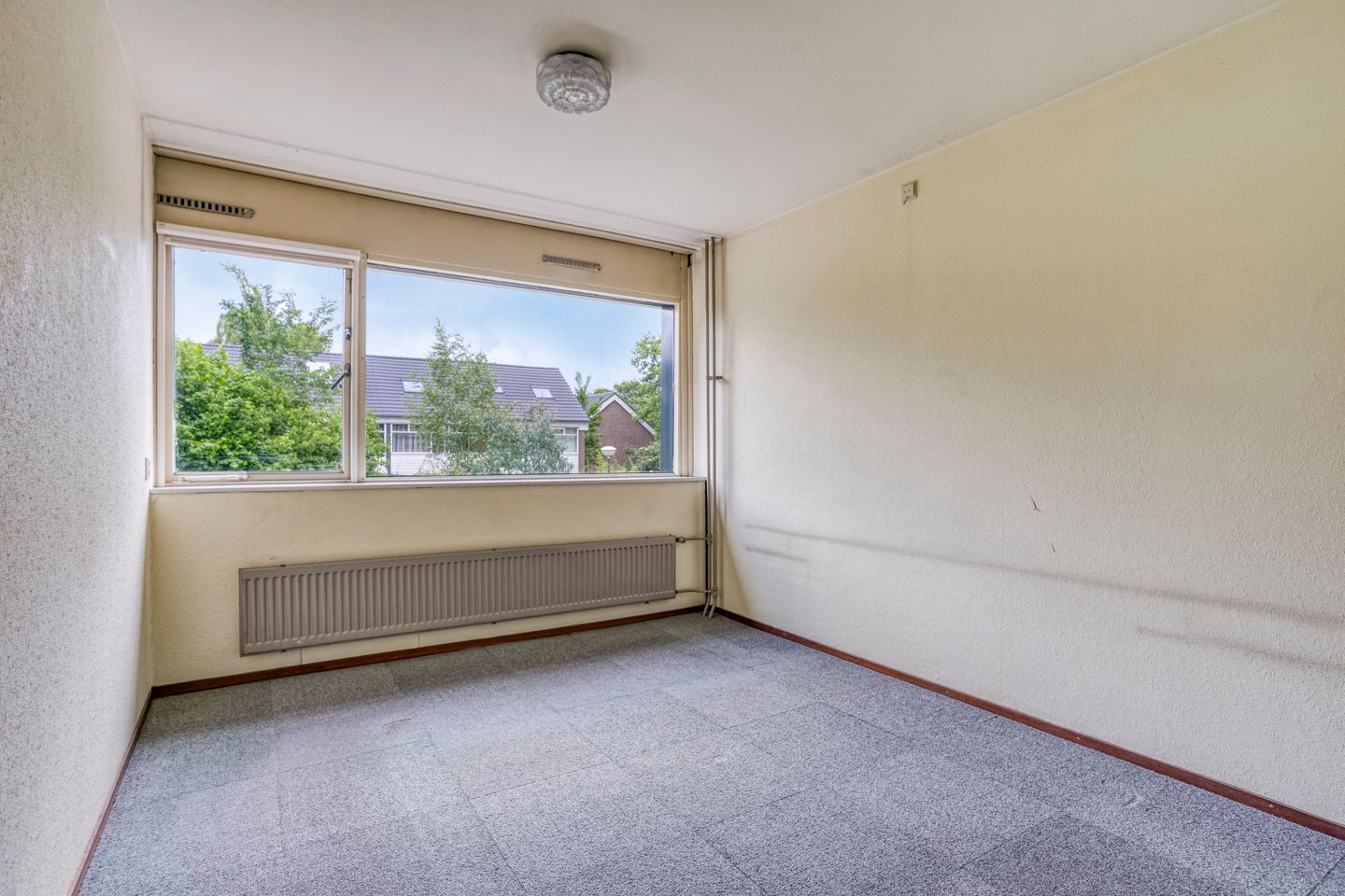 Foto 20 van Koolzaadland 13