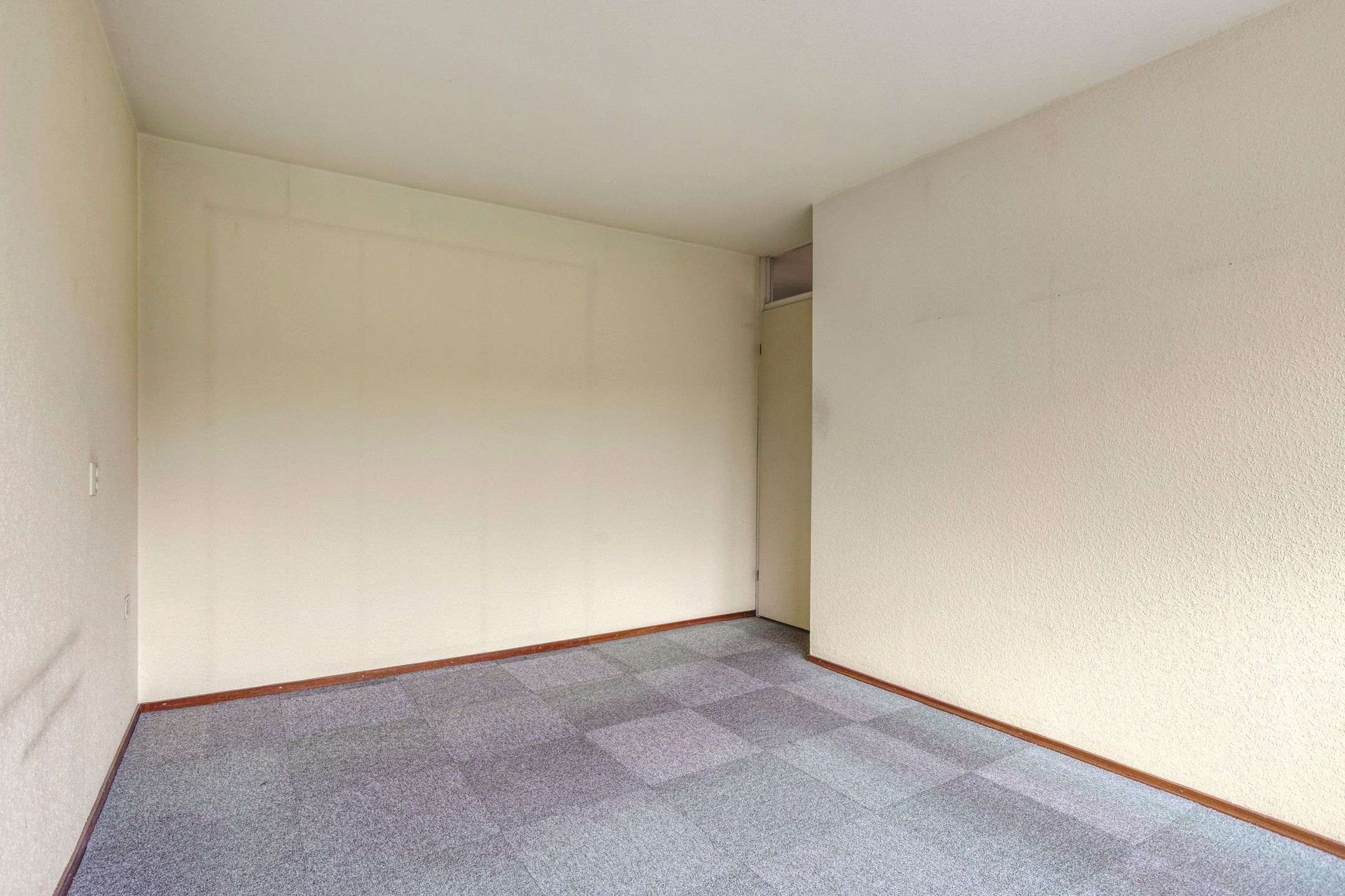 Foto 21 van Koolzaadland 13