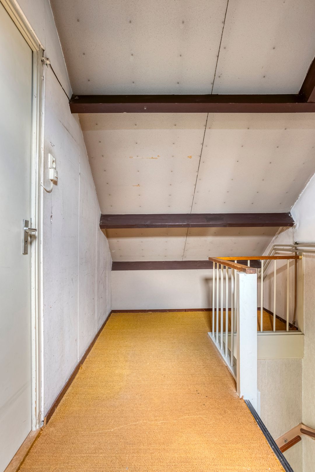 Foto 23 van Koolzaadland 13