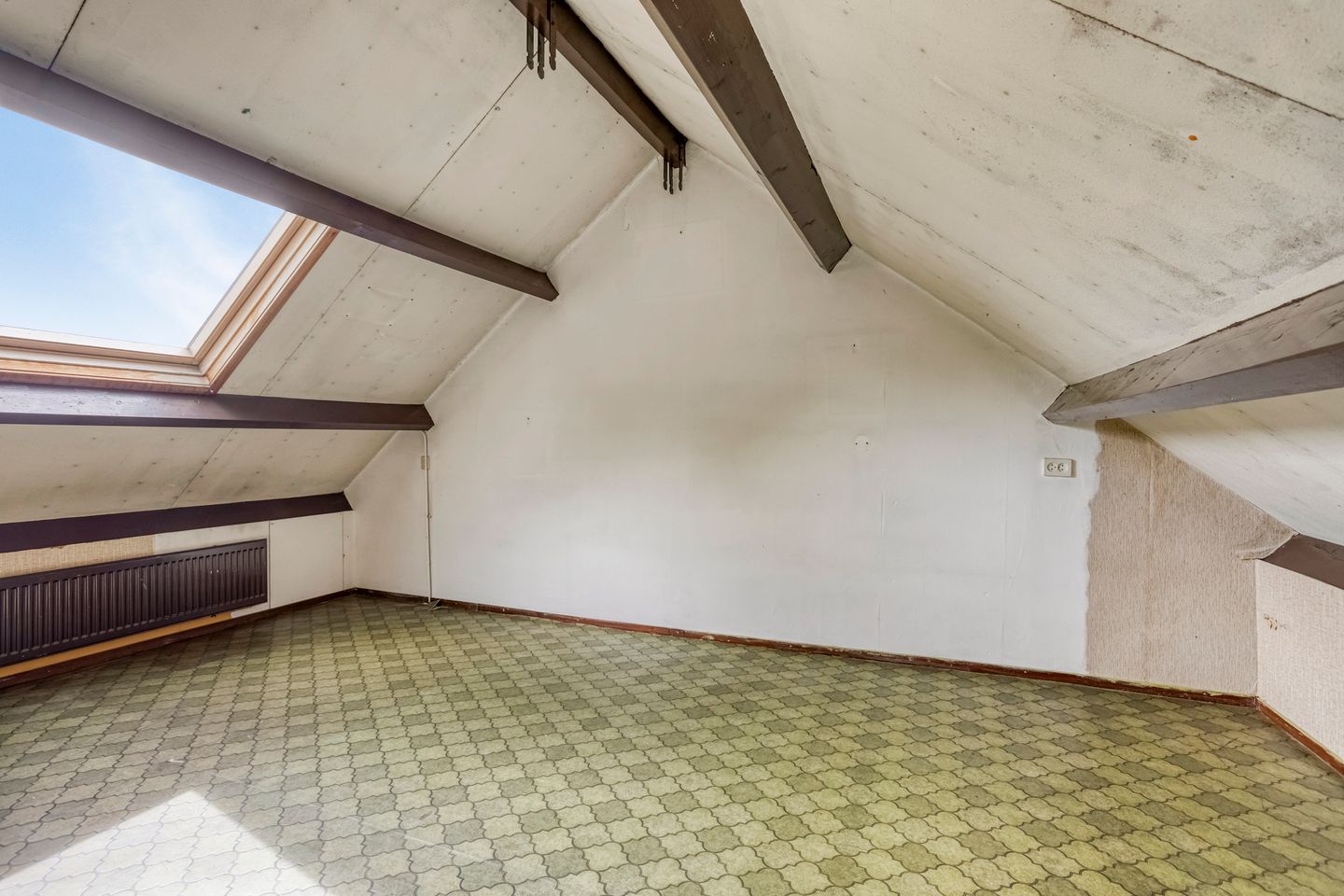 Foto 25 van Koolzaadland 13