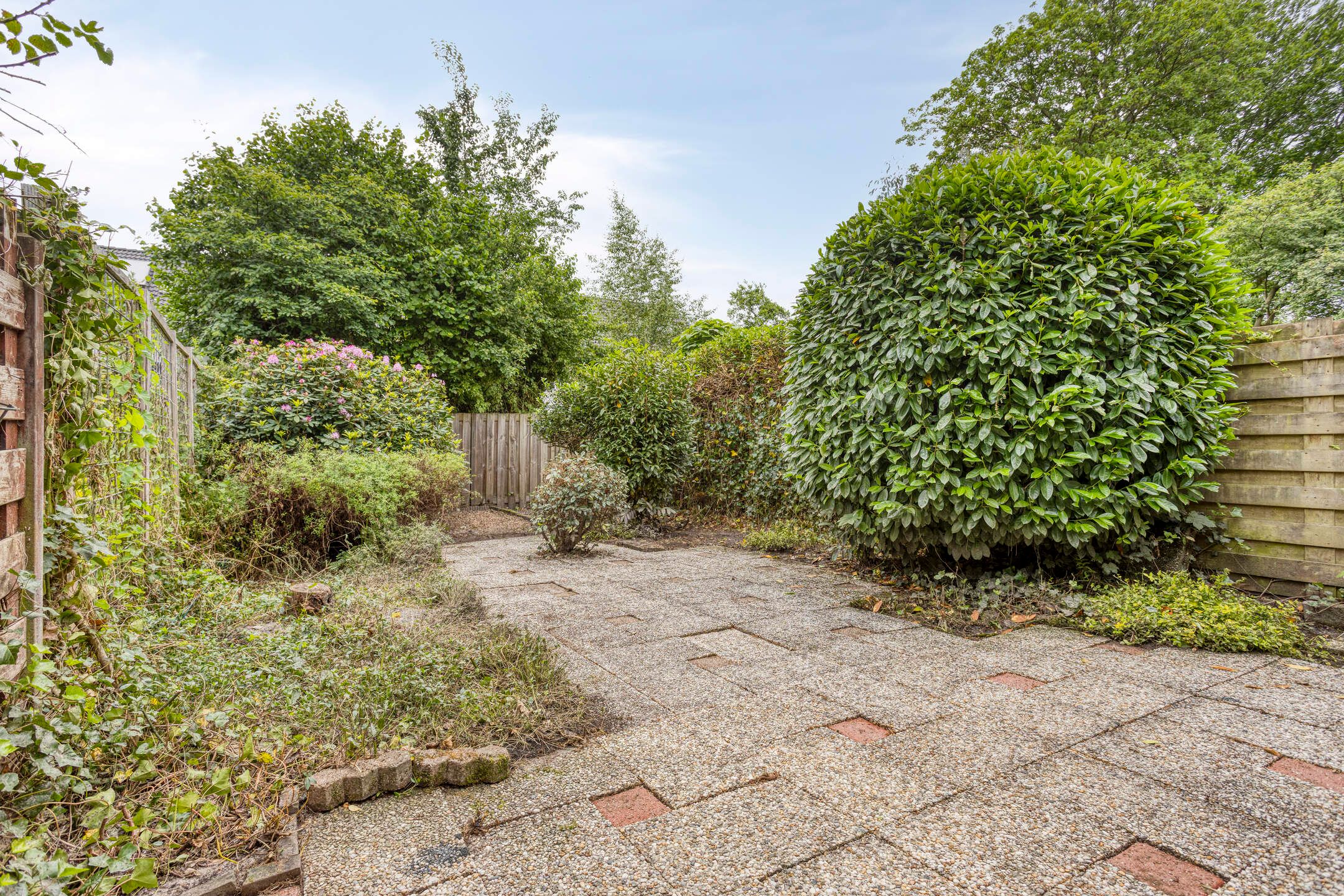 Foto 27 van Koolzaadland 13