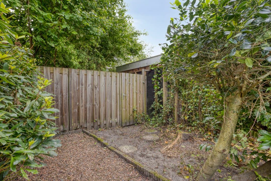 Foto 28 van Koolzaadland 13