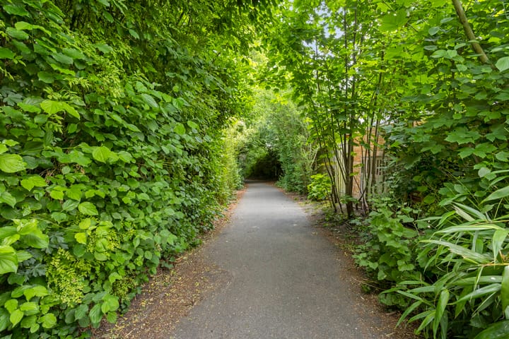 Foto 30 van Koolzaadland 13