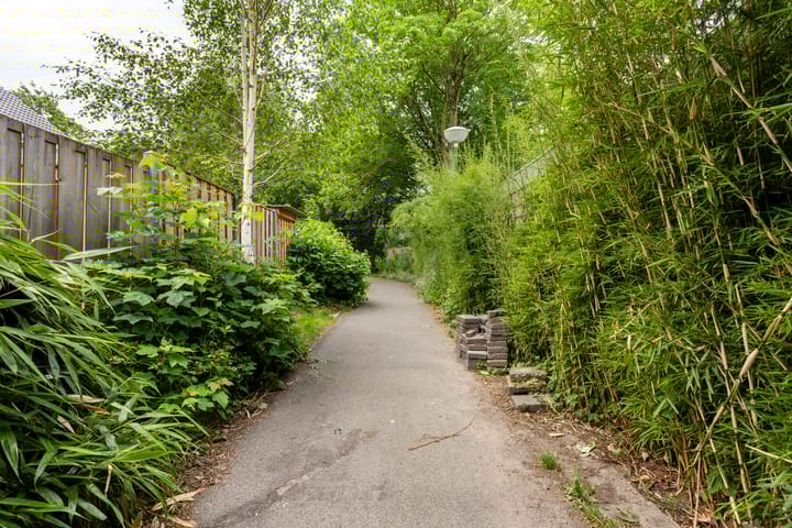 Foto 31 van Koolzaadland 13