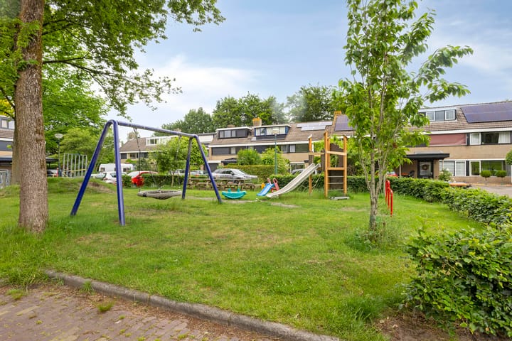 Foto 34 van Koolzaadland 13