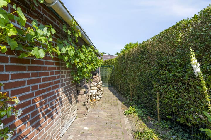 Foto 26 van Jan Petersstraat 17