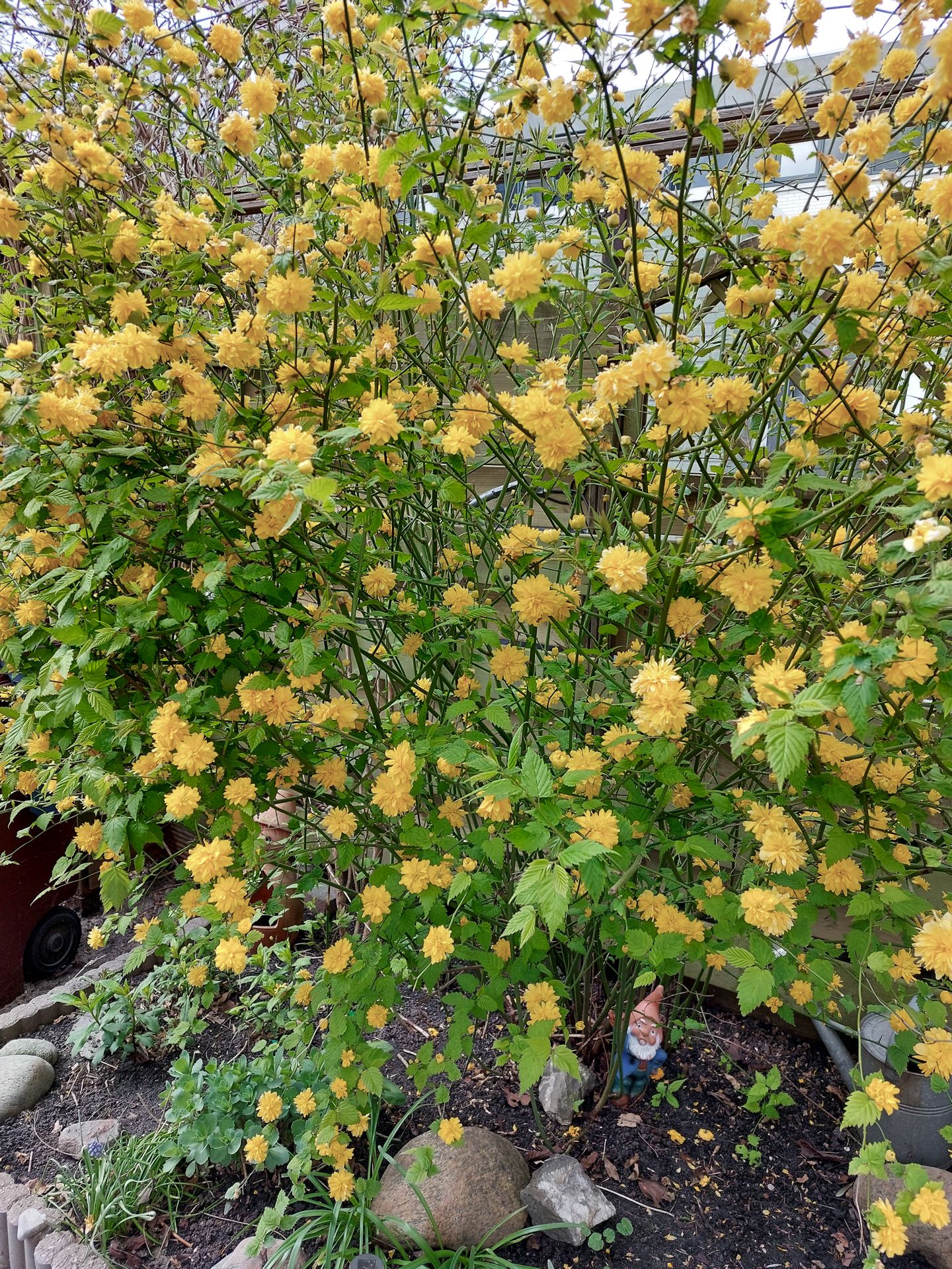 Foto 39 van Chris de Jongstraat 20