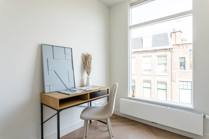 Photo 15 of Van Loostraat 12-A