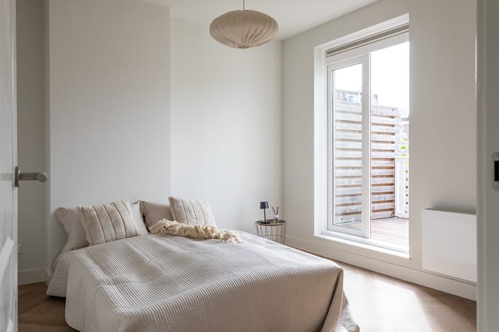 Photo 22 of Van Loostraat 12-A