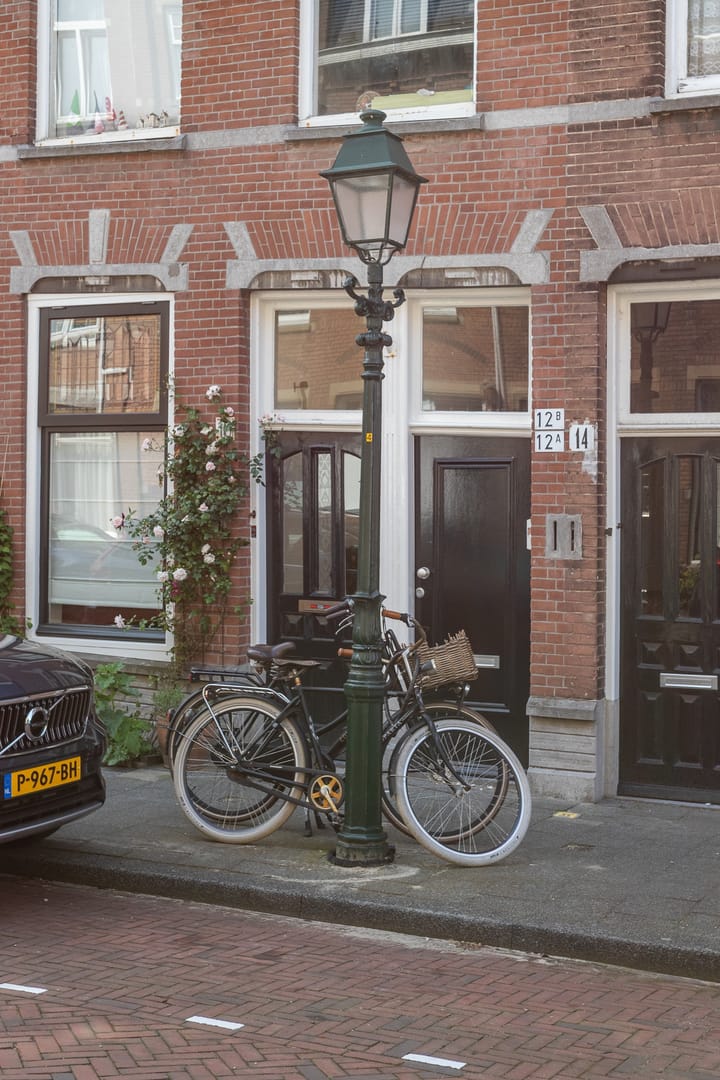 Photo 31 of Van Loostraat 12-A