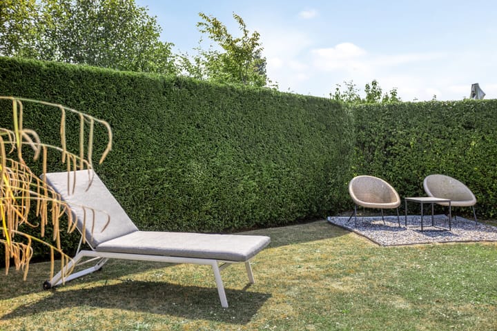 Photo 32 of Schoneveld 4