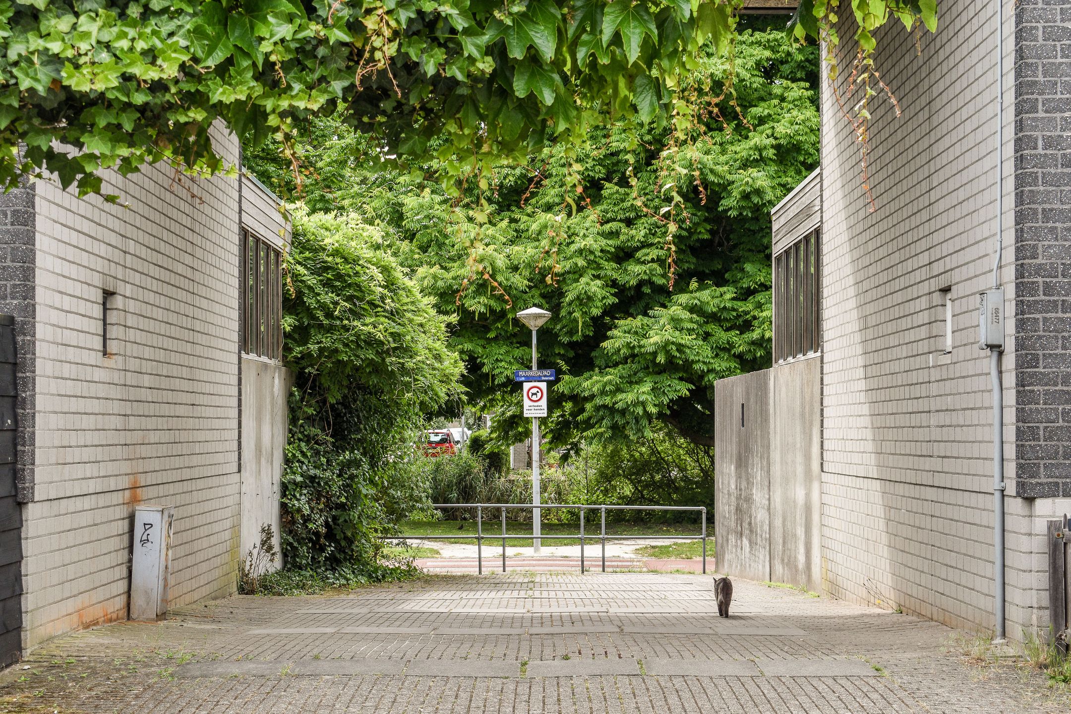 Foto 27 van Schaarbeekstraat 40