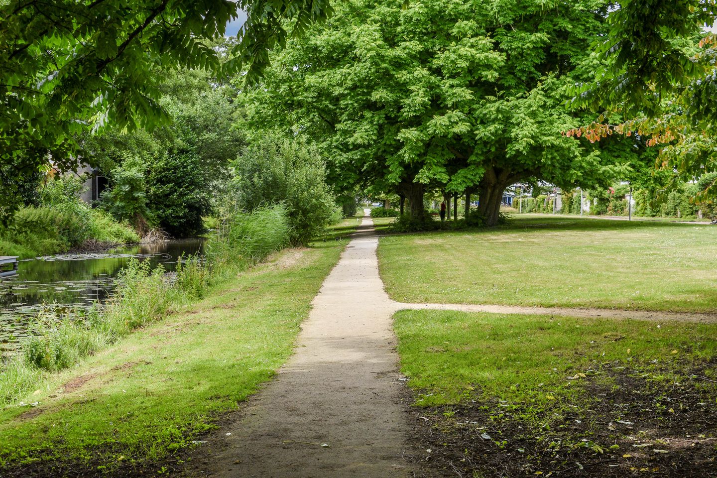 Foto 29 van Schaarbeekstraat 40