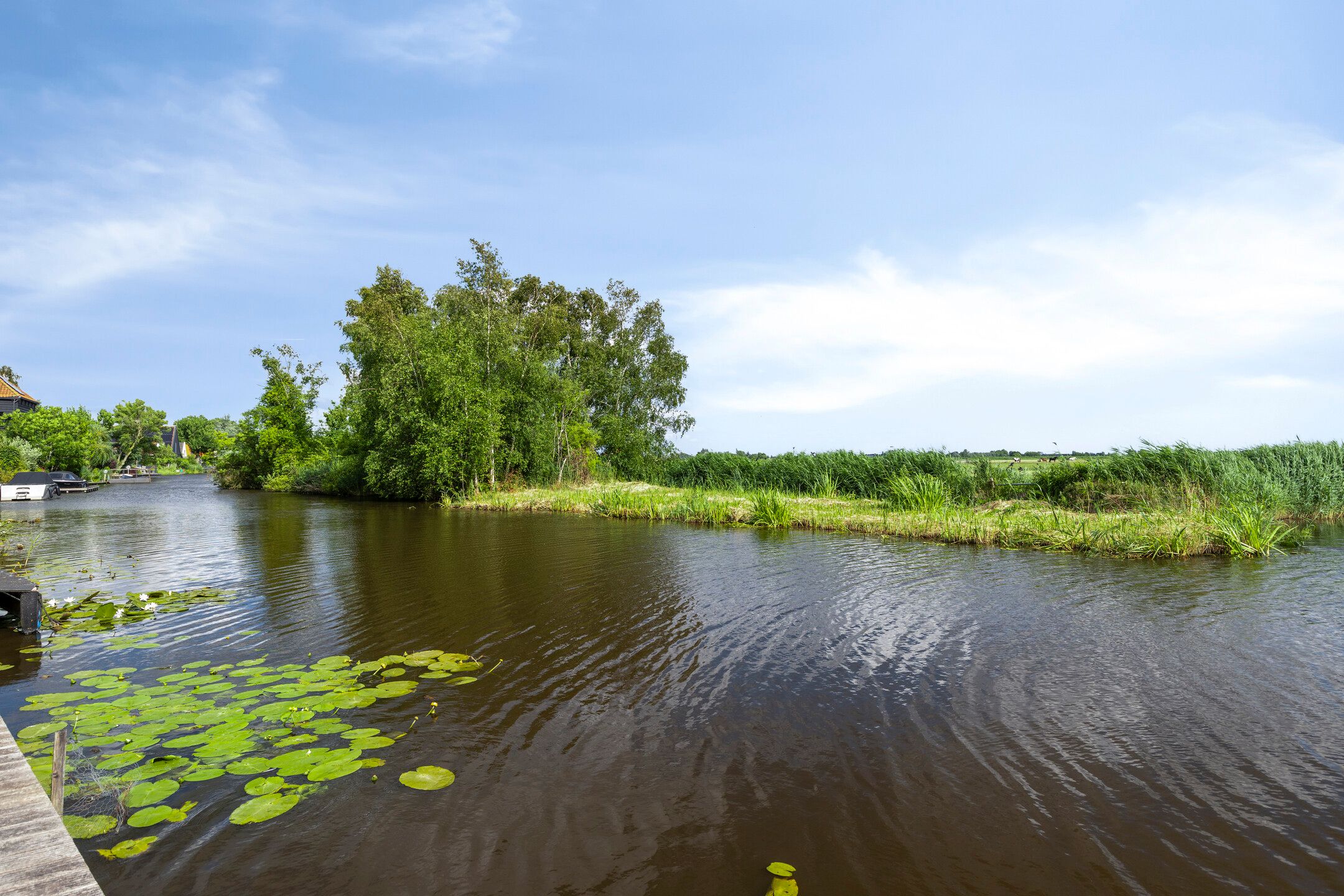 Photo 36 of Hage Weer 26-E