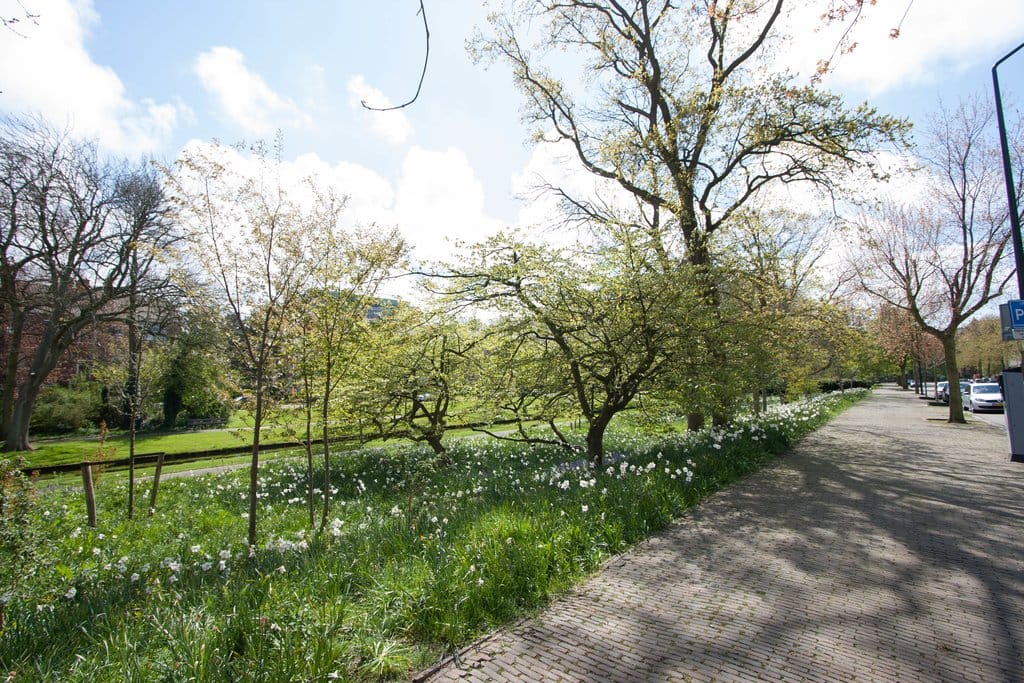 Photo 47 of Ruychrocklaan 54