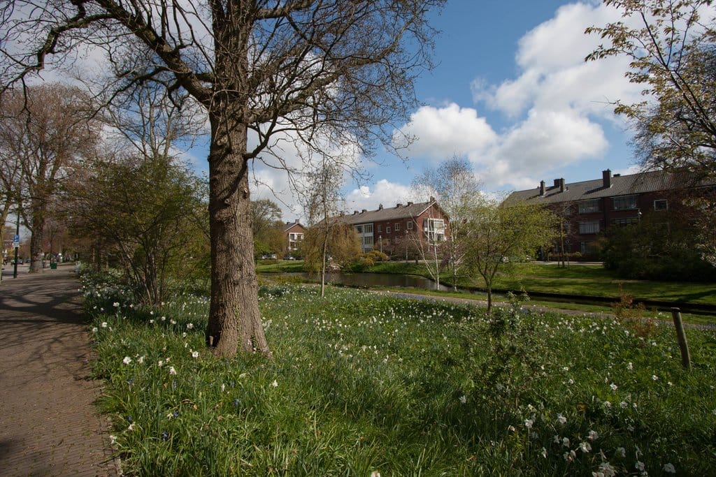 Photo 48 of Ruychrocklaan 54