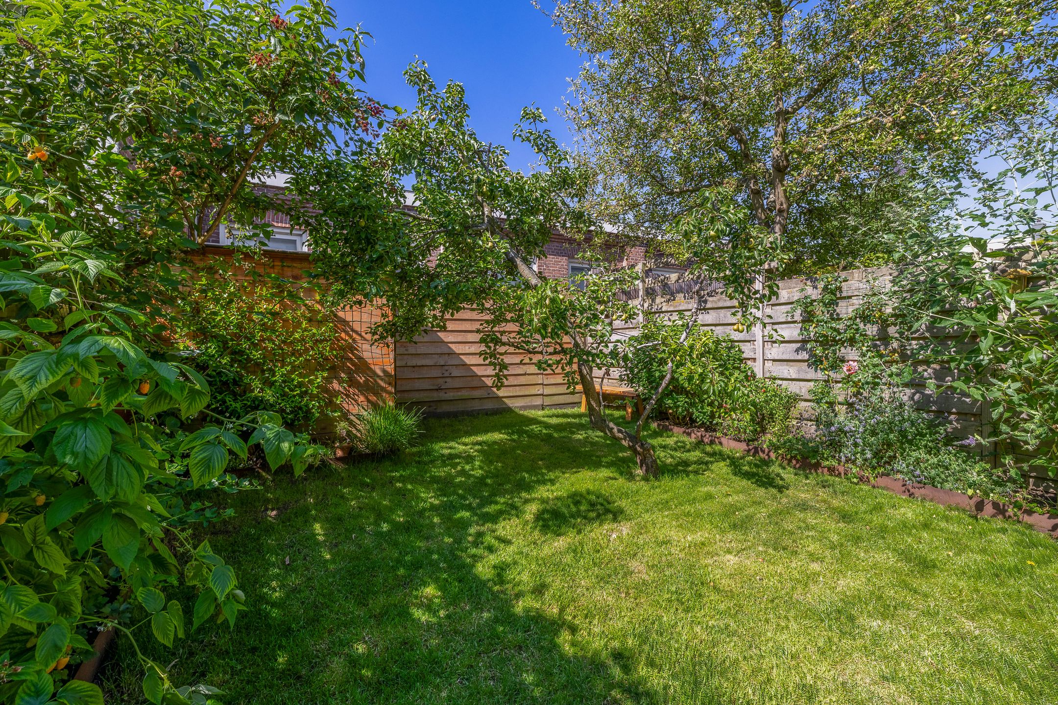 Foto 27 van Bolstraat 41