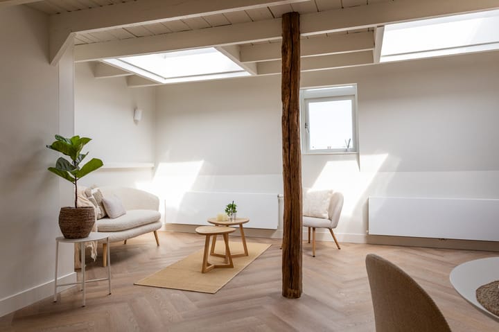 Foto 5 van Van Loostraat 12-B