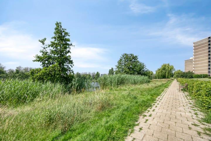 Foto 32 van Aalscholversingel 586