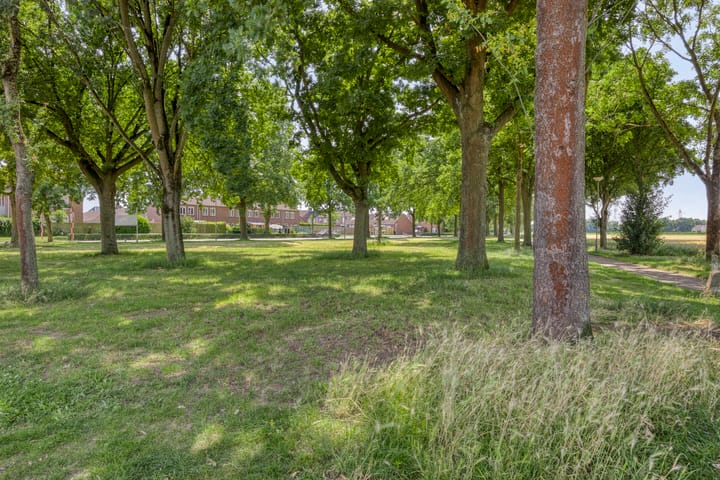 Foto 36 van Molenweg 69