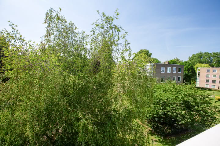 Foto 13 van Waddenland 23