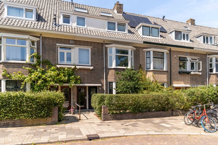 Photo 1 of Ternatestraat 95