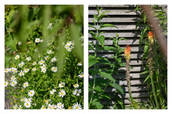 Foto 51 van Eikenlaan 45