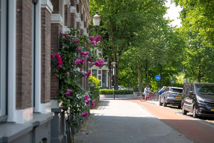 Photo 57 of Singel 3