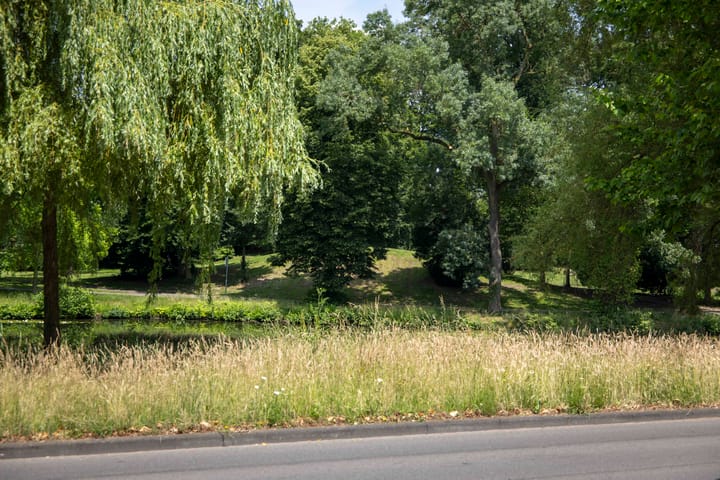 Photo 58 of Singel 3