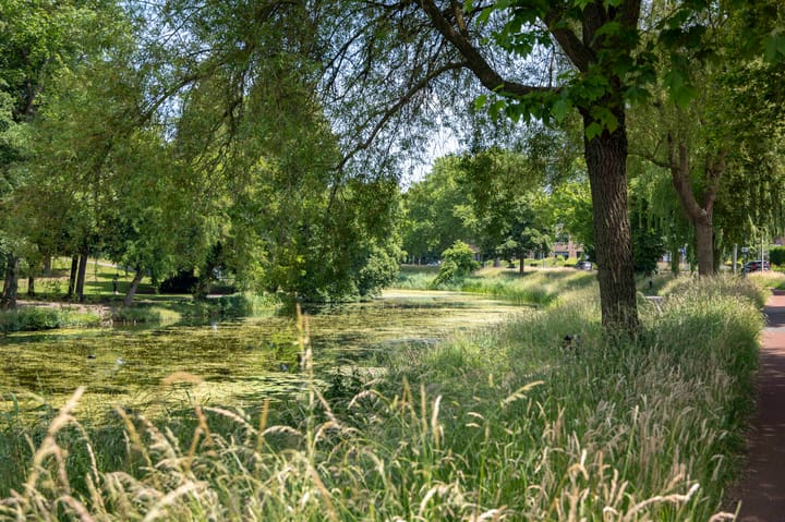 Photo 60 of Singel 3