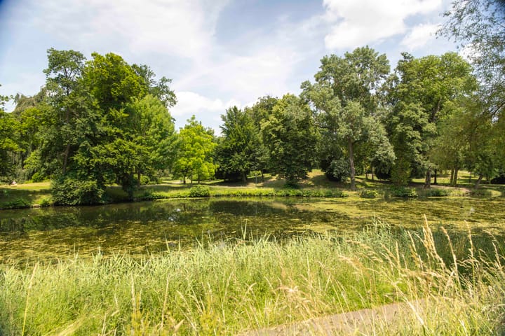 Photo 61 of Singel 3